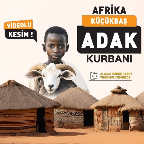 Afrika Adak Kurbanı Koç