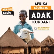 Afrika Adak Kurbanı Koyun